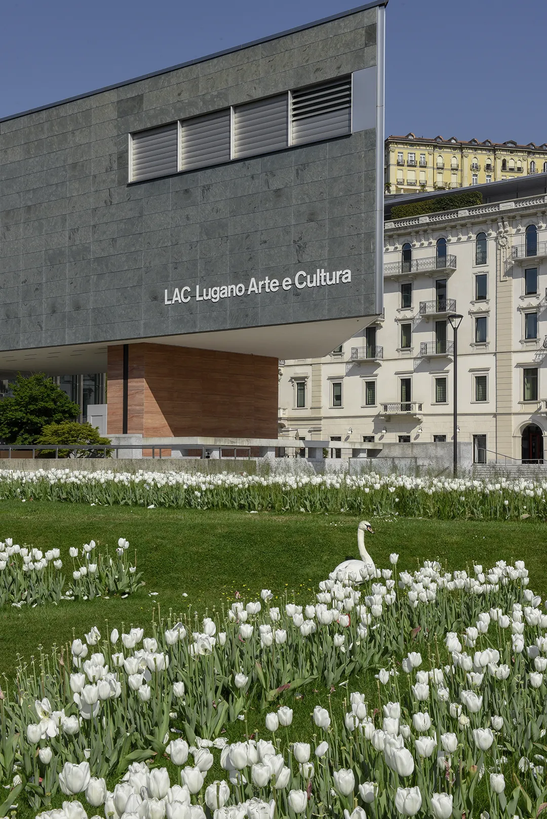 LAC Lugano arte e cultura